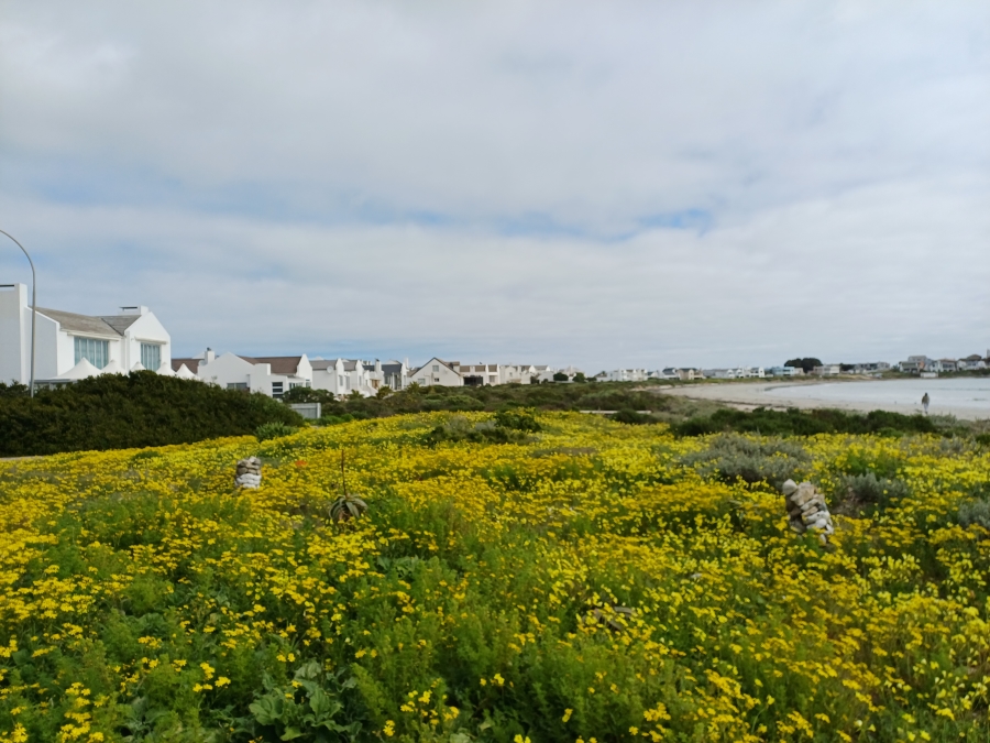 0 Bedroom Property for Sale in Shelley Point Western Cape